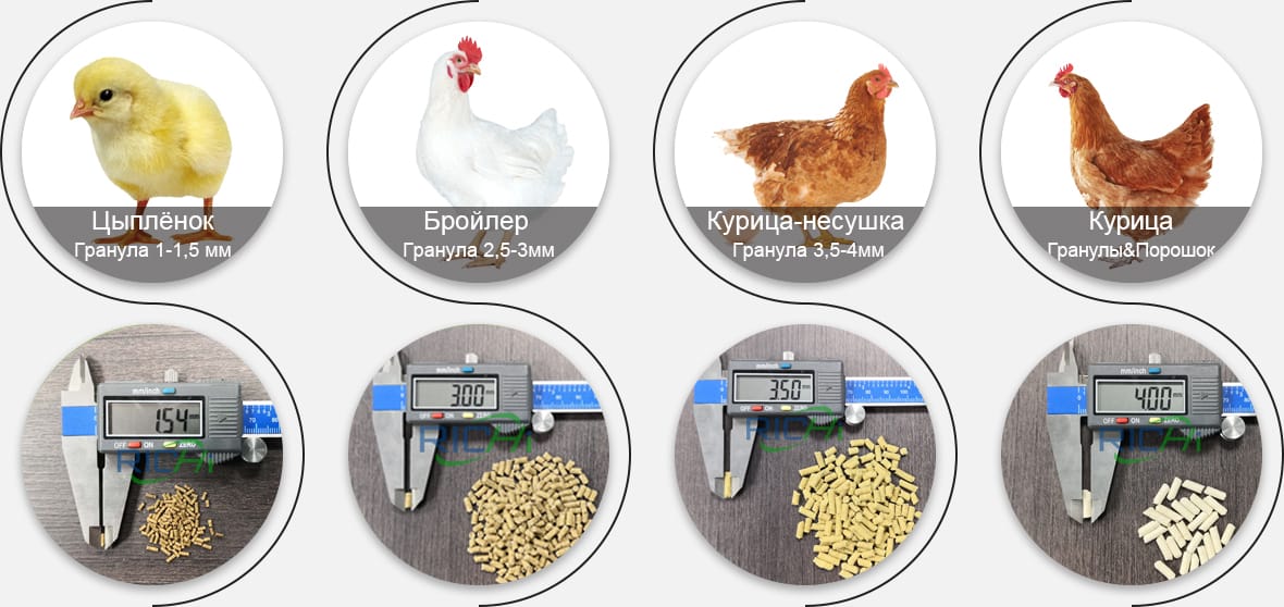 Какой куриный корм вы хотите производить?