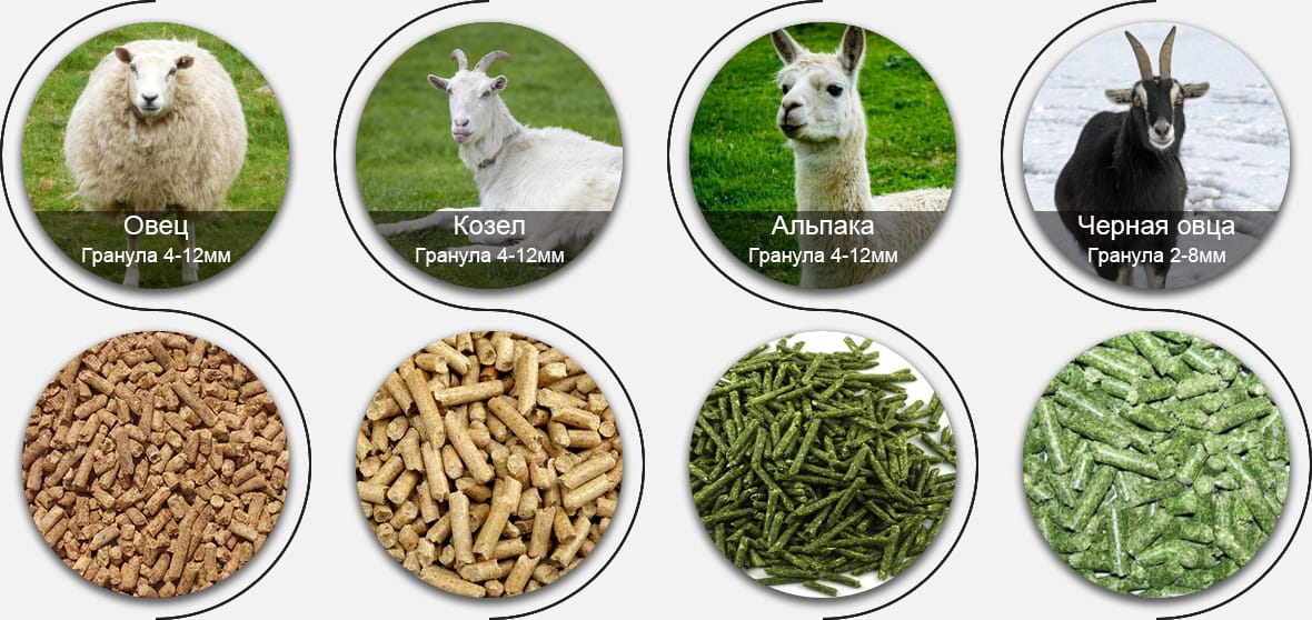 Какой овечий корм вы хотите производить?