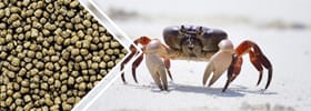 Линия Производства углеводных кормов
