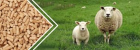 линия производства кормов для овец
