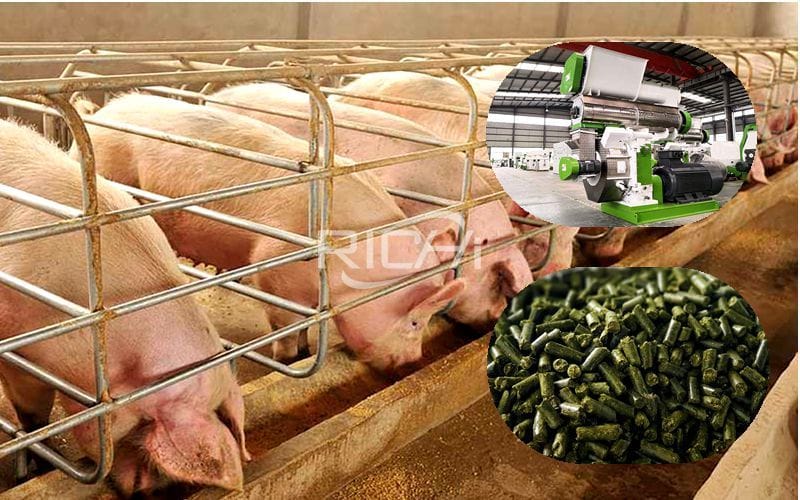 Как делать корм для свиней на большом комбикормовом заводе