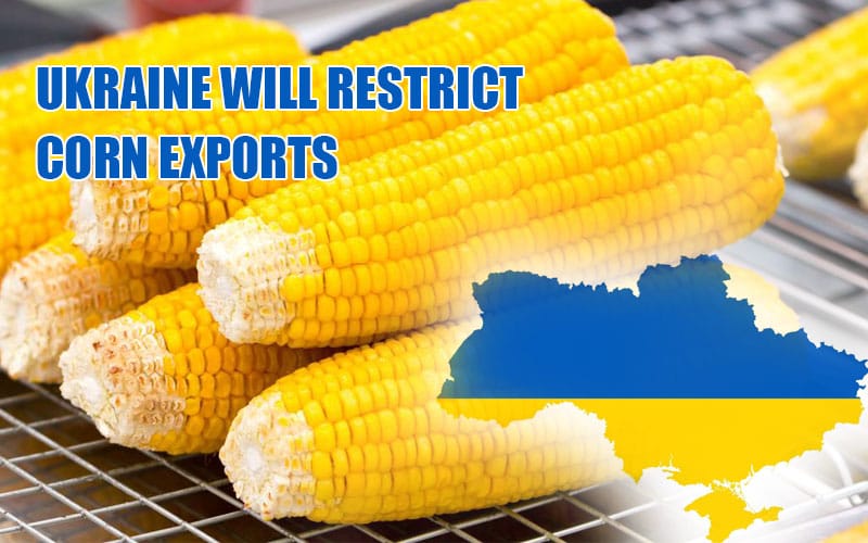 [Новости отрасли] Украинские животноводы требуют ограничения на экспорт кукурузы