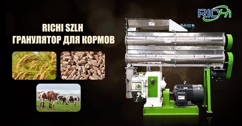 Гранулятор для пеллет и кормов от Richi Machinery