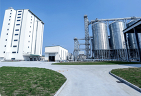 Линия По Производству Кормов Для Рыб