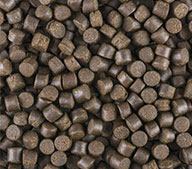 Корма Для Осетровых