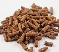 гранулятор кормов для креветок