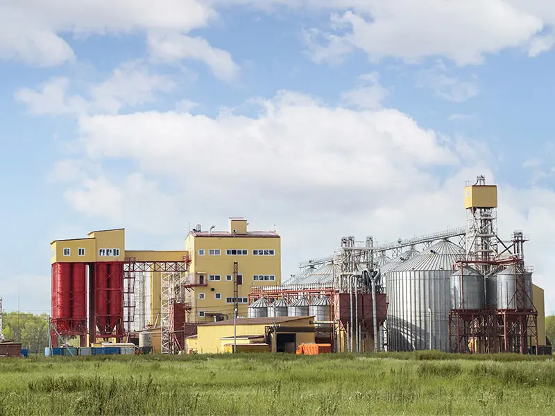 20 Т/Час Гранулятор Кормов Для Свиней На Филиппинах