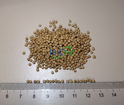 Корм Для Форели