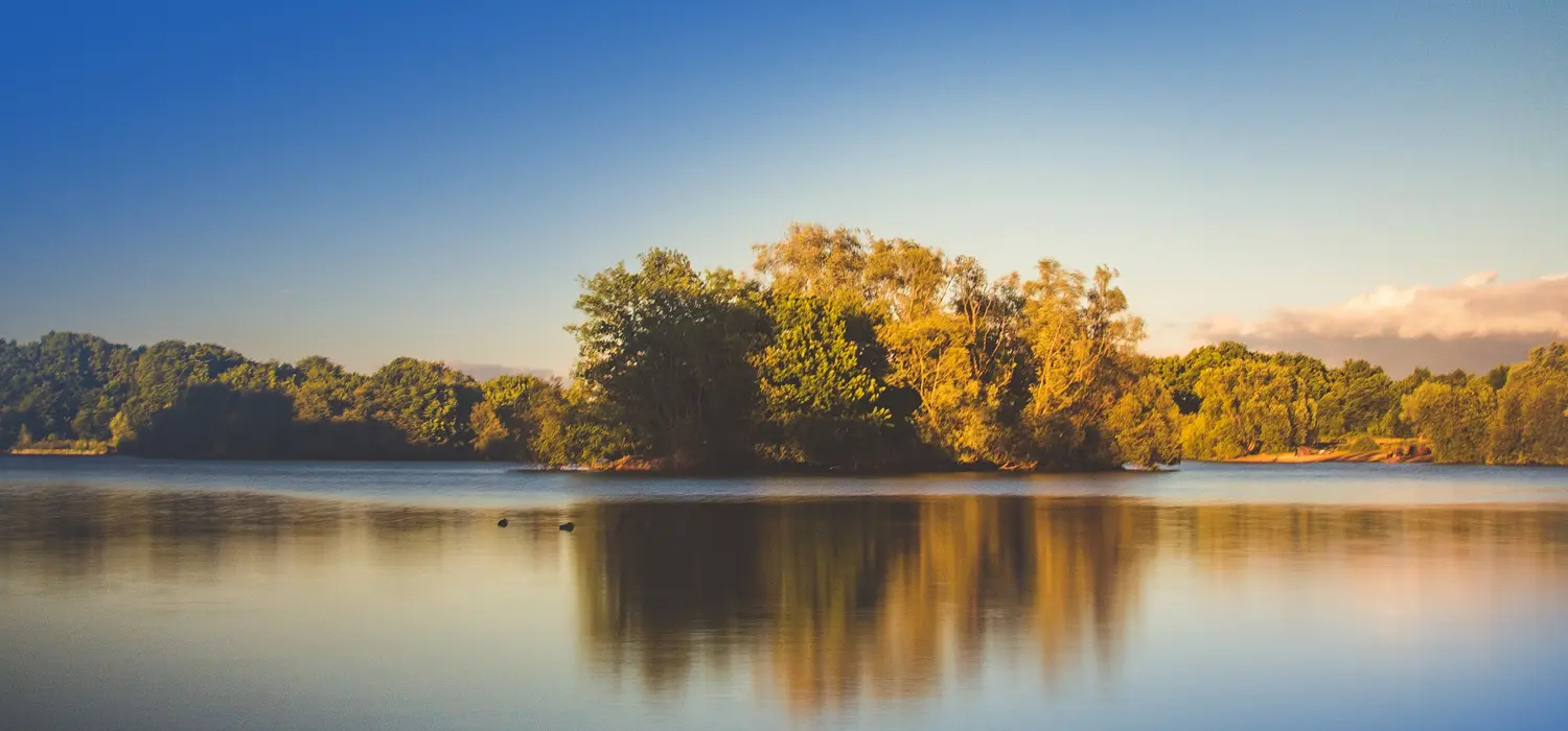 Экструдер Корма Для Рыб
