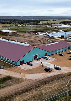 Интегрированное Агро-Животноводческое Предприятие