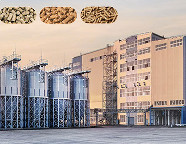 Линия по производству кормов для жвачных животных