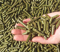 Производительность комбикормового завода