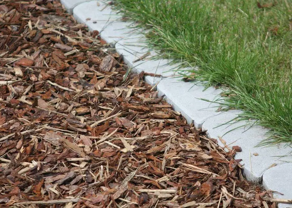 Окружающая Среда И Садоводство