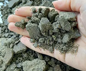 Подсолнечный Шрот с Маслозавода