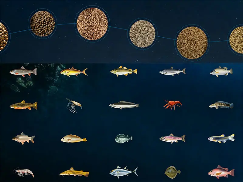 Рыбный Корм