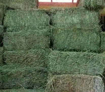 Как Сделать Гранулы Из Люцерны В Тюках