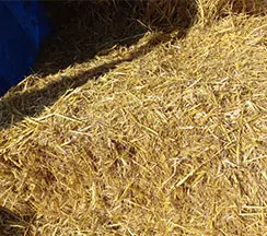 Линия По Производству Соломенных Гранул