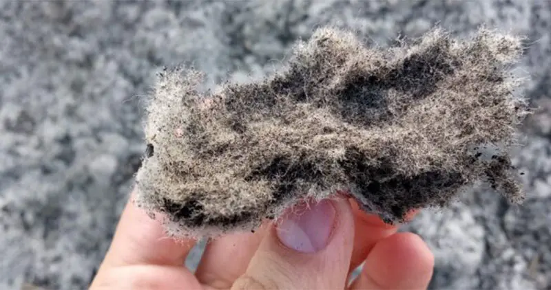 текстильный корд