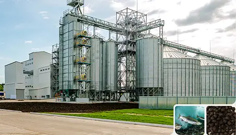 15 т/час Линия по производству корма для рыб