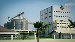 Линия Производства Тонущих Кормов Для Рыб