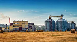 Линия Производства Корма Для Форели