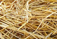 пшеничная солома