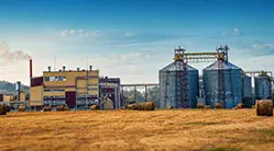 Линия По Производству Кормов Для КРС