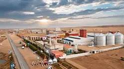 Линия По Производству Кормов Для Рыб