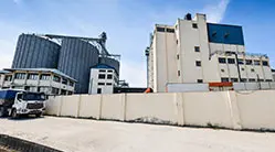 Линия По Производству Кормов Для Жвачных Животных