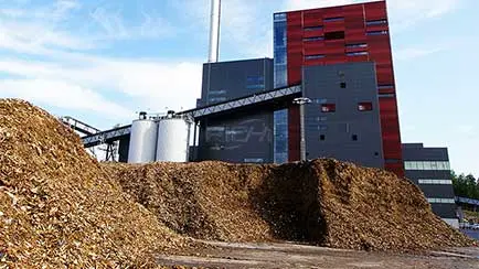 Линия по производству гранул из сосны производительностью 3–4 т/ч в Канаде