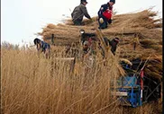 Сельскохозяйственные кооперативы