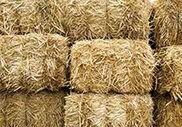 солома