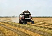 растениеводческие хозяйства