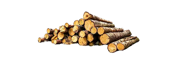 Линия по производству пеллет из сосны