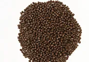 корм для карпа