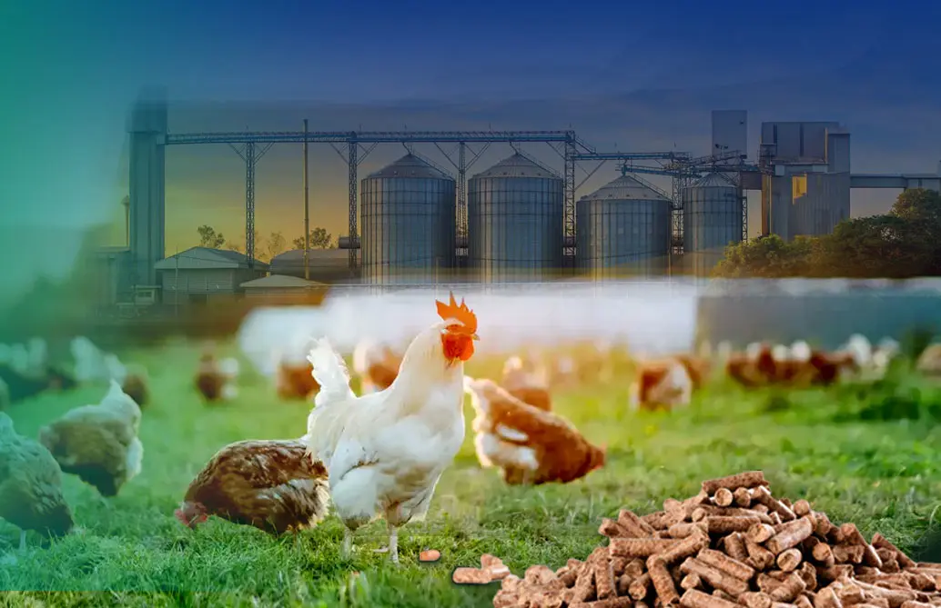Линия по производству кормов для птицы и скота