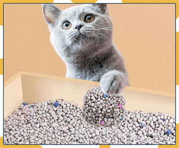 Наполнитель Для Кошачьего Туалета Из Бентонита