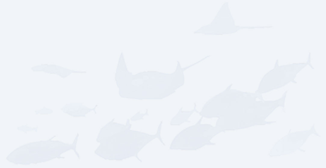 Оборудование Для Производства Рыбных Кормов