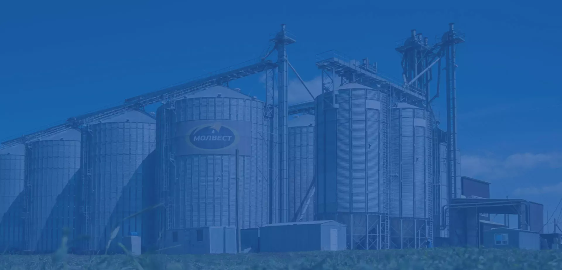 Оборудование Для Производства Рыбных Кормов