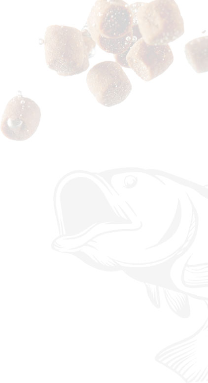 Экструдер Для Кормов Рыб