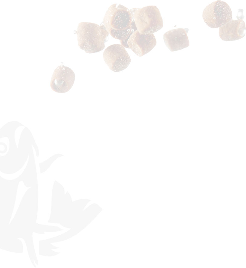 Экструдер Для Кормов Рыб