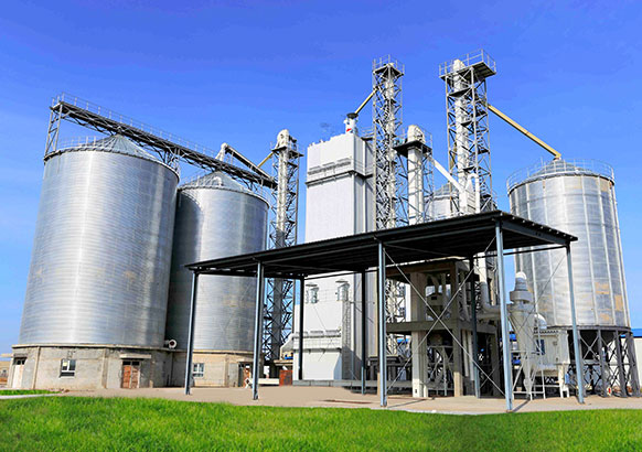 Линия Тонущих Кормов Для Рыб