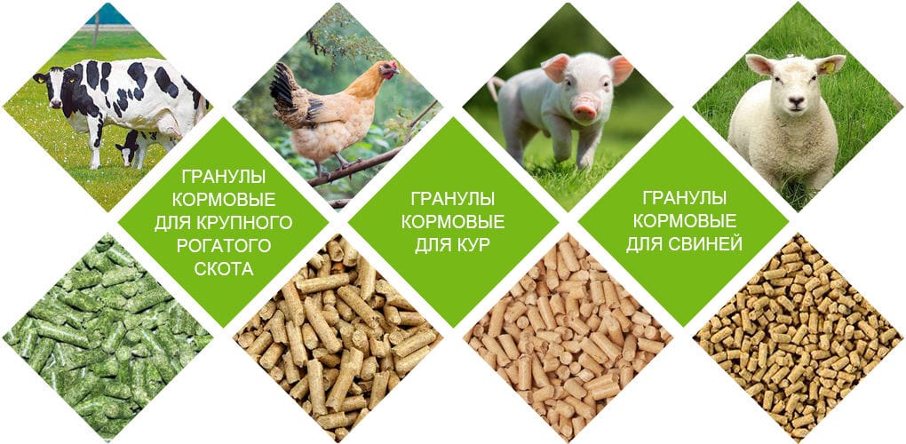 Применение гранулятора кормов для животных