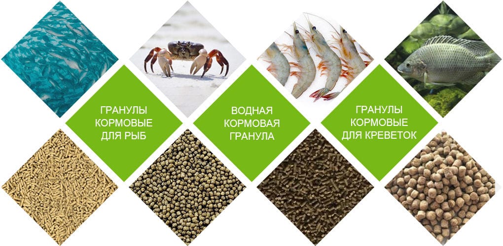 Применение DSP оборудования для производства кормов для рыб